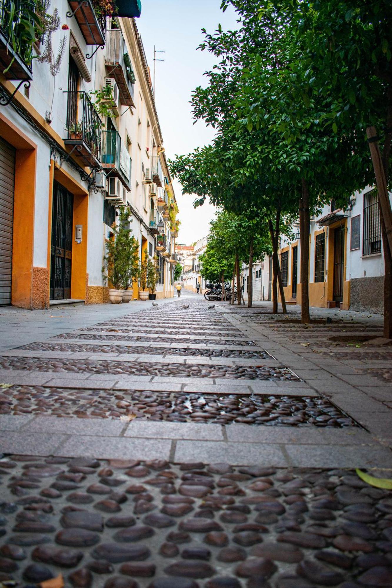 Alojamiento Entero, Centro De Cordoba Con Cochera Luaran gambar